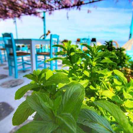 Benitsa Beach Hotel Achilleion Exterior photo