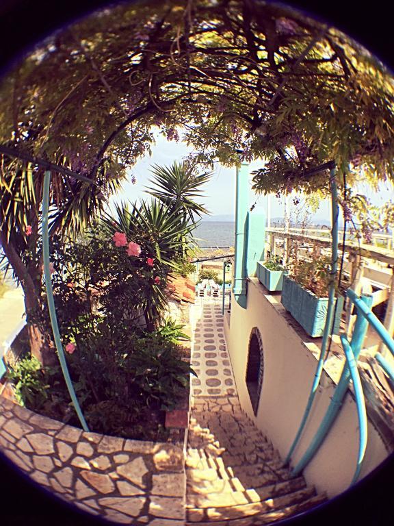 Benitsa Beach Hotel Achilleion Exterior photo
